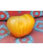 Tomato 'Pink Honey' AKA 'Rozovyi Myod' 