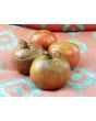 Tomato 'Black Russian'