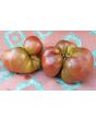 Tomato 'BKX' AKA 'Black Krim Potato Leaf' 