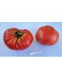 Tomato 'Olive Hill'