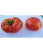 Tomato 'Olive Hill'