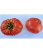 Tomato 'Olive Hill'