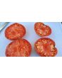 Tomato 'Olive Hill'