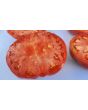 Tomato 'Olive Hill'