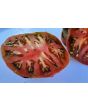 Tomato 'Cherokee Carbon' (Heirloom Marriage)