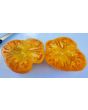 Tomato 'Dr. Wyche's Yellow'