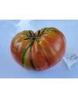 Tomato 'Pruden's Purple'