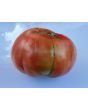 Tomato 'Pruden's Purple'