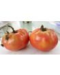 Tomato 'Soldacki'