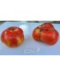 Tomato 'Purple Hillbilly'