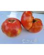 Tomato 'Purple Hillbilly'