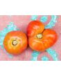 Tomato 'Sandul Moldovan'