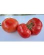 Tomato 'Kosovo' 