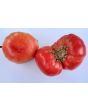 Tomato 'Kosovo' 