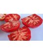 Tomato 'Kosovo' 