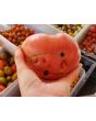 Tomato 'Lithuanian'