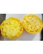 Tomato 'Pilcer Vesy'