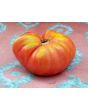 Tomato 'Sandul Moldovan'