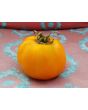 Tomato 'Cossack' 
