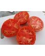 Tomato 'Chalk's Early Jewel' 