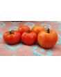Tomato 'Oregon Spring'