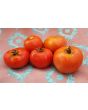 Tomato 'Oregon Spring'