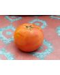 Tomato 'Razzleberry F2'