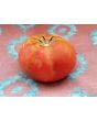 Tomato 'Razzleberry F2'