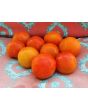 Tomato 'Sweet n' Bright'