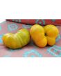 Tomato 'Big Orange Stripe' 