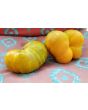 Tomato 'Big Orange Stripe' 