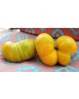 Tomato 'Big Orange Stripe' 