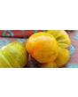 Tomato 'Big Orange Stripe' 