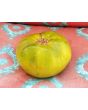 Tomato 'Captain Lucky' 