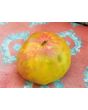Tomato 'Captain Lucky' 