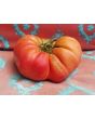 Tomato 'Brandywine'