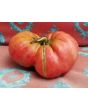 Tomato 'Brandywine'