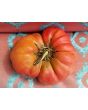 Tomato 'Brandywine'