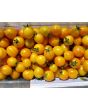 Tomato 'Sunrise Bumblebee' 