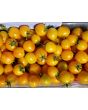 Tomato 'Sunrise Bumblebee' 