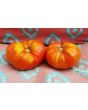 Tomato 'Andrew Rahart's Jumbo Red'