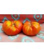 Tomato 'Andrew Rahart's Jumbo Red'