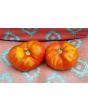 Tomato 'Andrew Rahart's Jumbo Red'