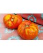 Tomato 'Andrew Rahart's Jumbo Red'