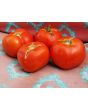 Tomato 'Druzba'