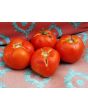 Tomato 'Druzba'