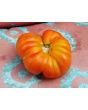 Tomato 'El Nano'