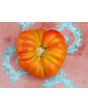 Tomato 'El Nano'