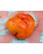 Tomato 'El Nano'