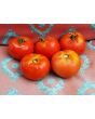 Tomato 'Costoluto Fiorentino' 